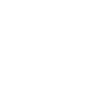 Bitubo
